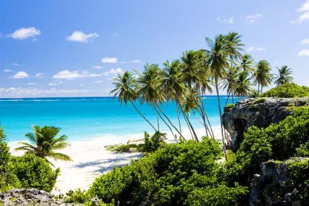 Karibik: Palmenstrand auf Barbados