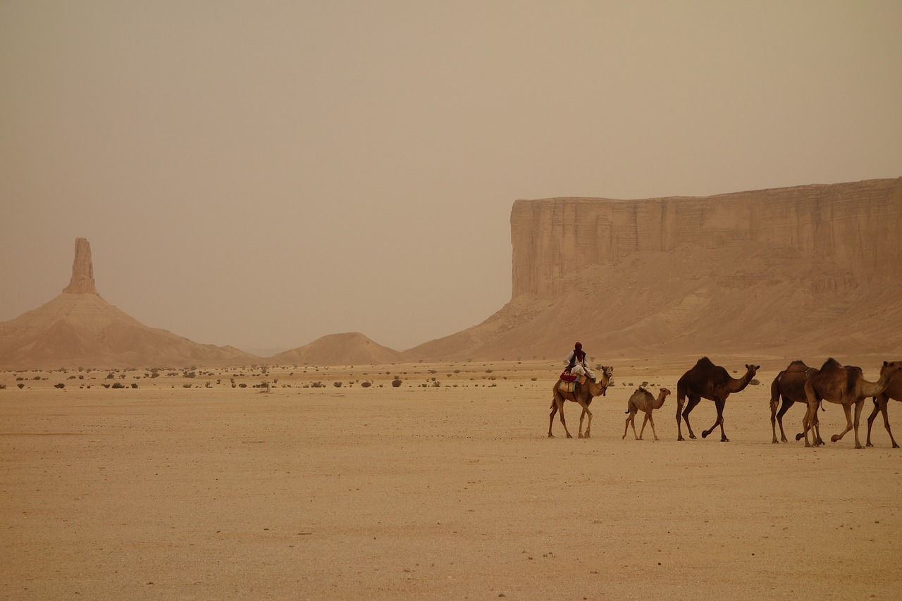 Kamelzug in Dschidda, Saudi Arabien