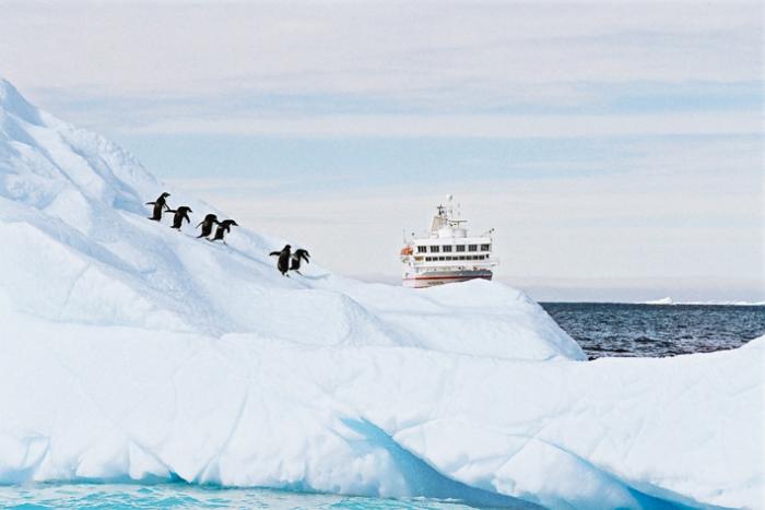 MS Hanseatic in der Antarktis