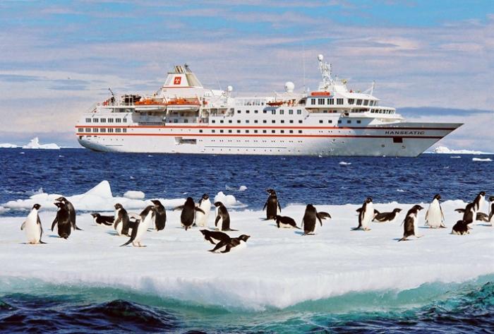 MS Hanseatic - Pinguine in der Antarktis