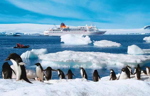 MS Bremen in der Antarktis