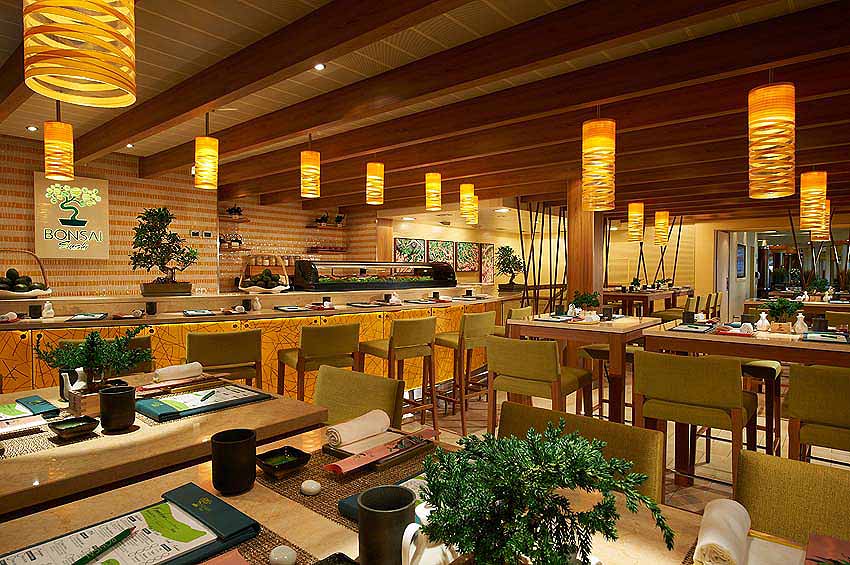 Bonsai Sushi Restaurant