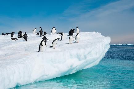 Antarktis Kreuzfahrten