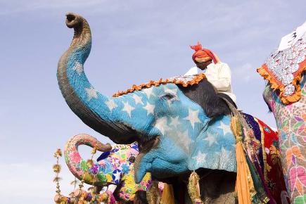Handbemalter Elefant in Indien