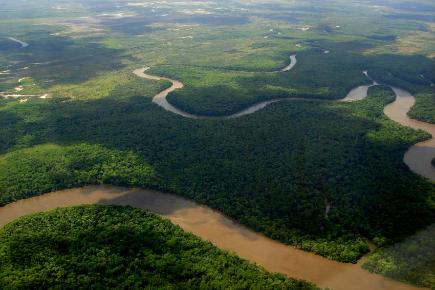 Bresil Amazonas